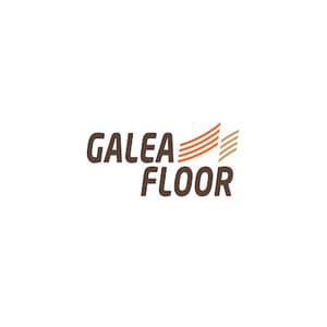 Galea Floor